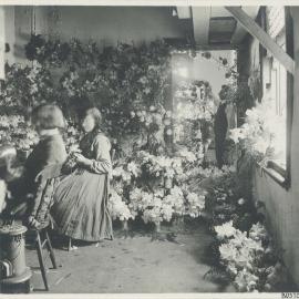 Commonwealth Bank - Second Peace Loan Campaign in NSW - 'Diggerville', Martin Place - Artificial flower-making in huts - August-September 1920 (plate 165)