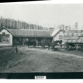 Premises - Commonwealth Bank of Australia - Post Office Agencies - Riana Tasmania - late 1913