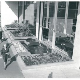 Head Office - Exterior - Showing garden on Macquarie Street side of building (copy b) - c. 1965