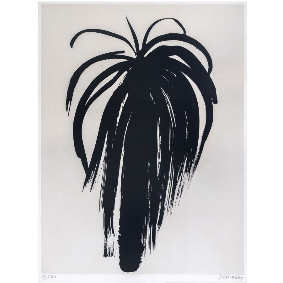 Palm trees IV