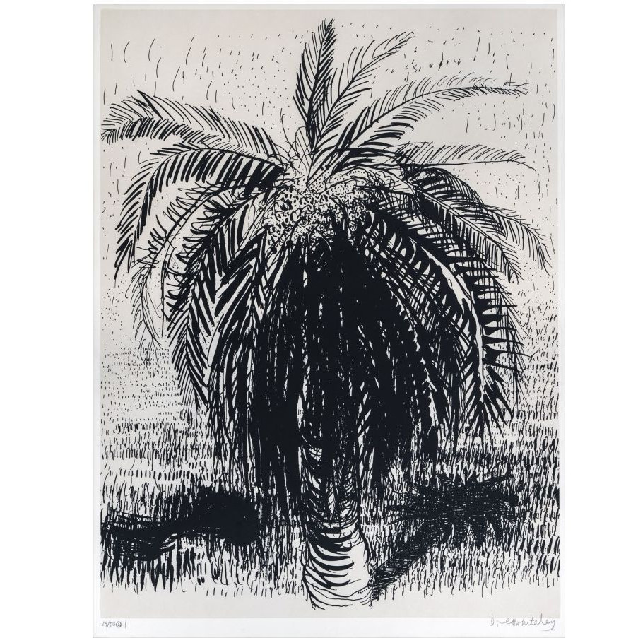 Palm trees I