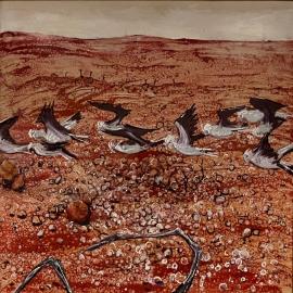 Flight of the galahs