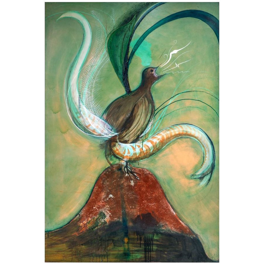 Lyre bird